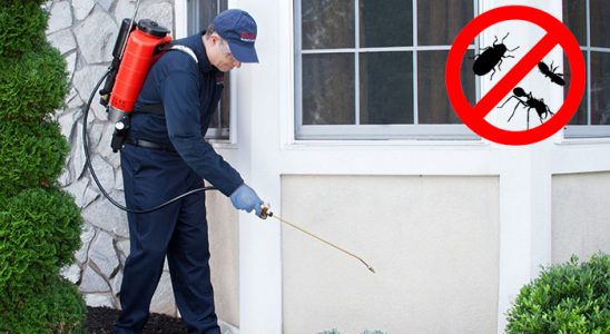 Kocaeli Kemirgen İlaçlama böcek ilaçlama ve haşere kontrolü — ilaclama-tr.com
